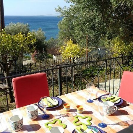 Gerakina Beach Cottage Psakoudia Dış mekan fotoğraf