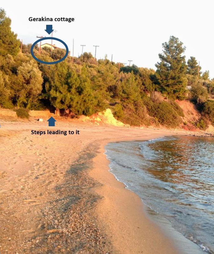 Gerakina Beach Cottage Psakoudia Dış mekan fotoğraf