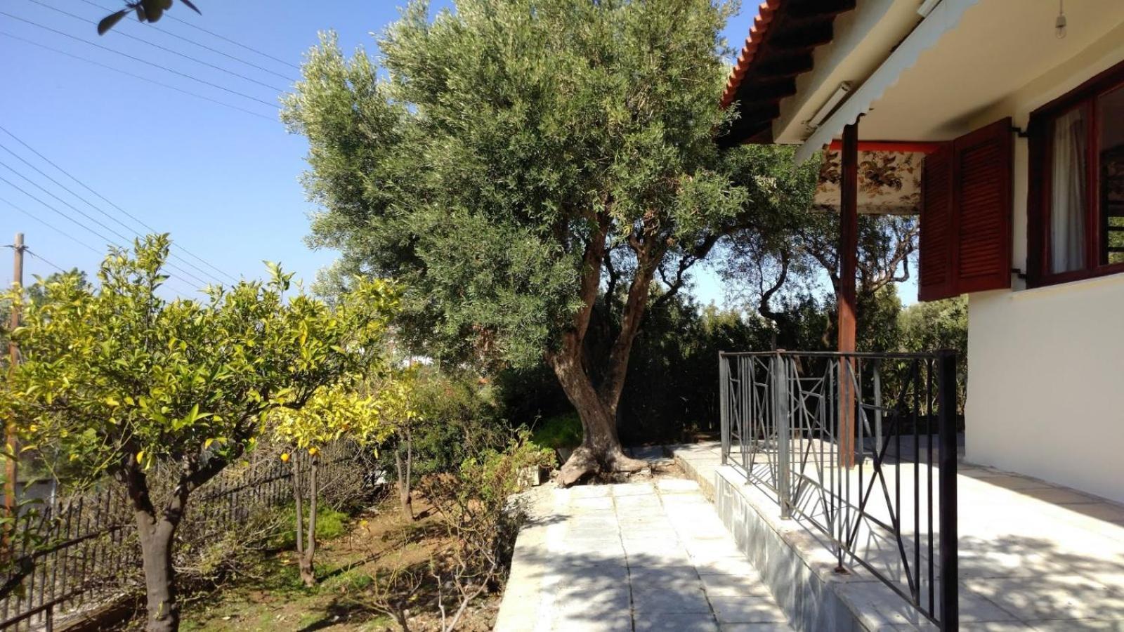 Gerakina Beach Cottage Psakoudia Dış mekan fotoğraf