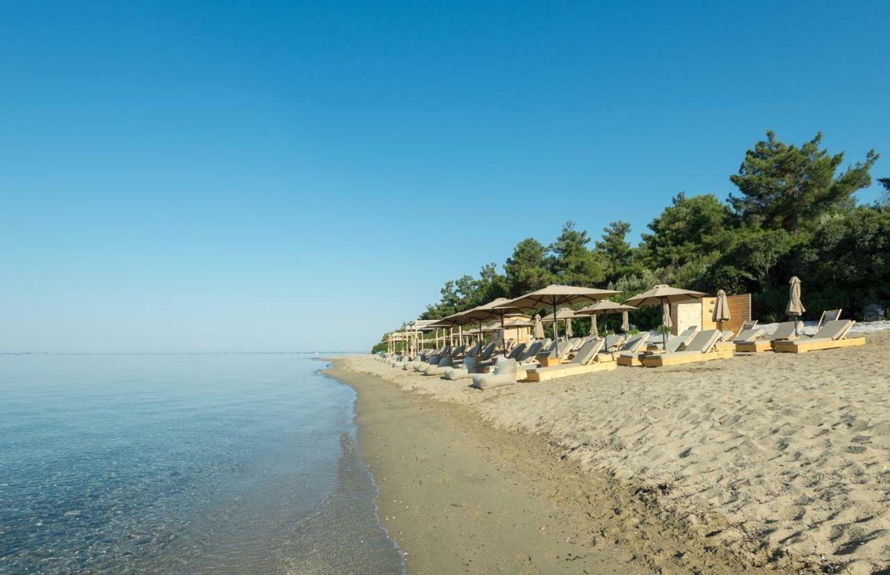 Gerakina Beach Cottage Psakoudia Dış mekan fotoğraf