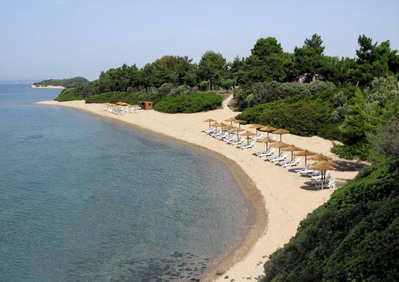 Gerakina Beach Cottage Psakoudia Dış mekan fotoğraf