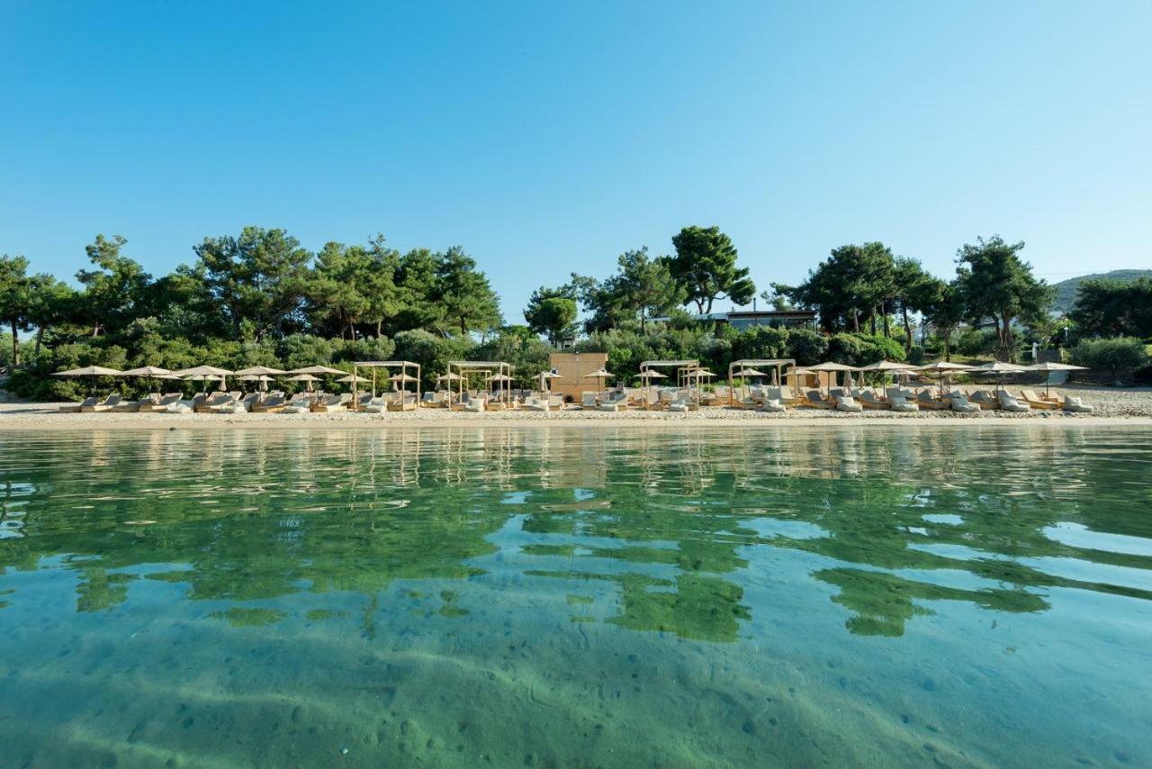 Gerakina Beach Cottage Psakoudia Dış mekan fotoğraf