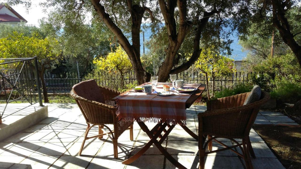 Gerakina Beach Cottage Psakoudia Dış mekan fotoğraf